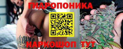 мдма Камышлов