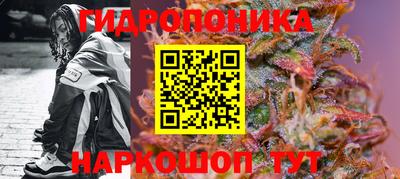 мдпв Канаш