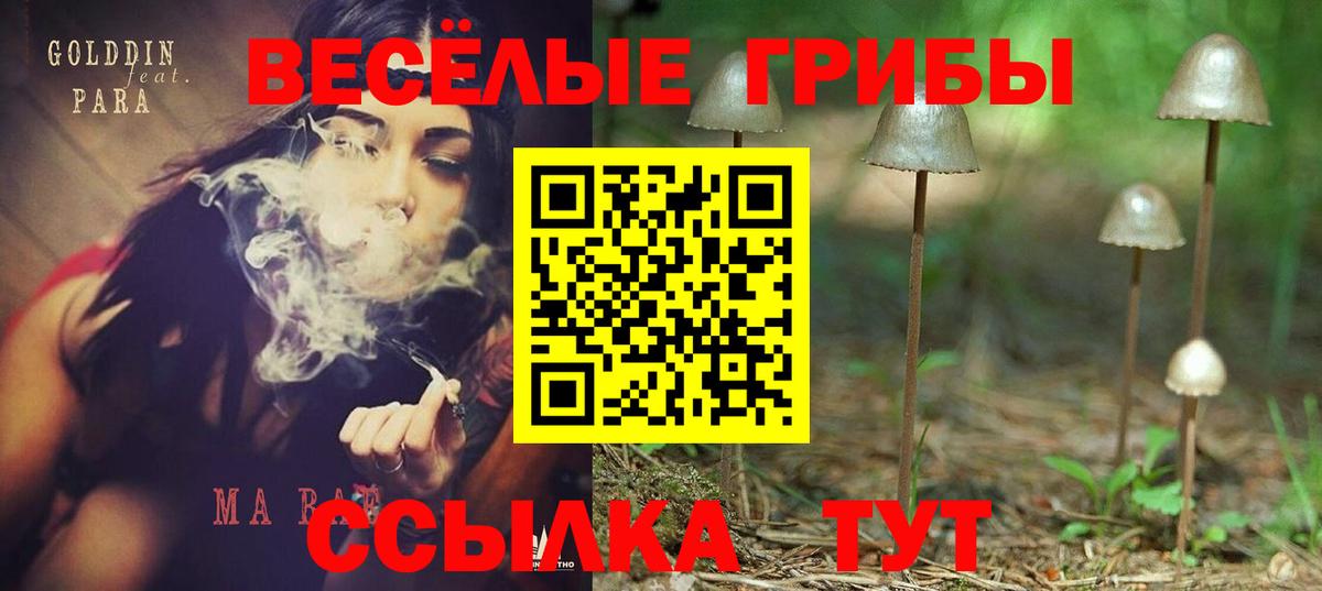 Псилоцибиновые грибы ЛСД  Вход с VPN  Торжок 